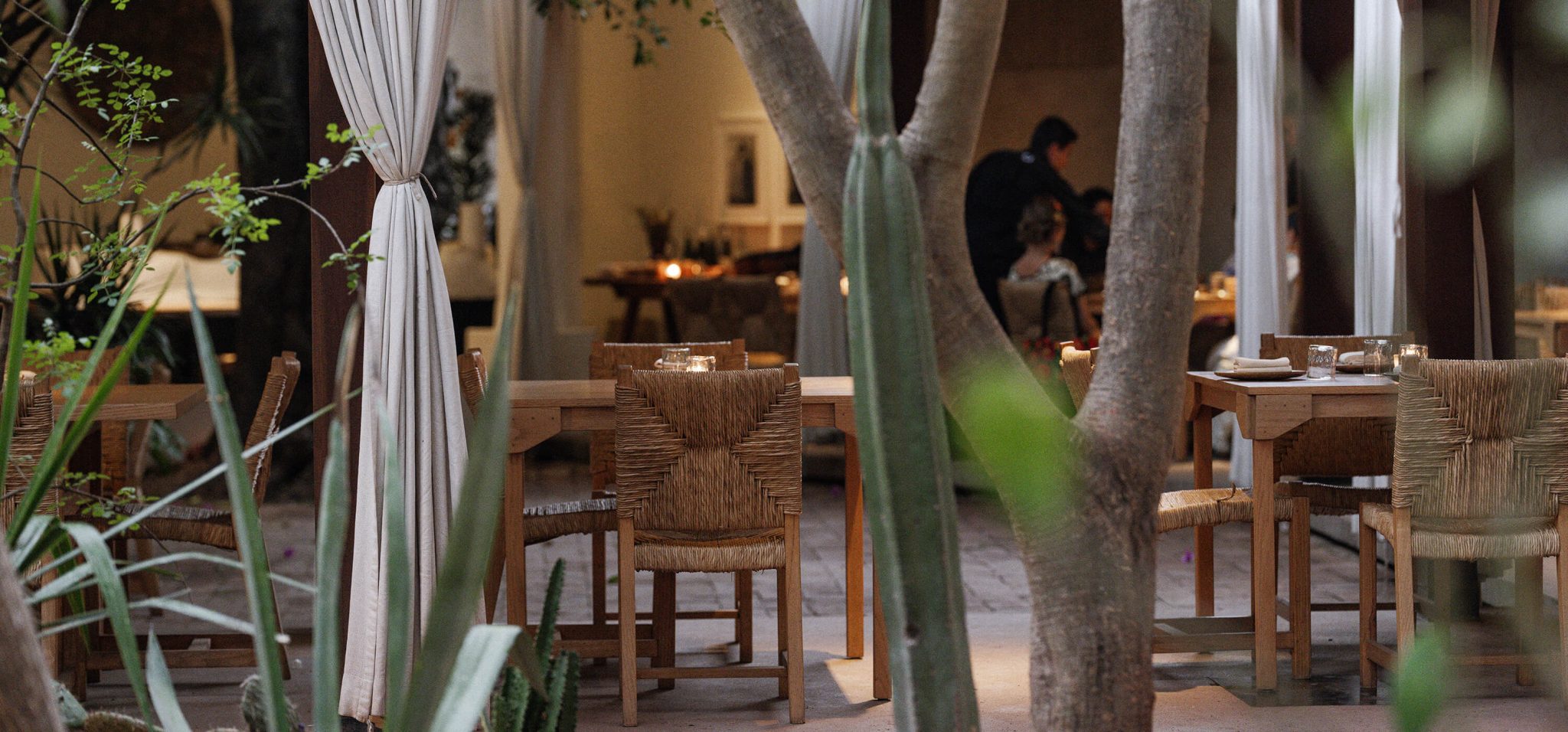criollo-img-home-2048x956