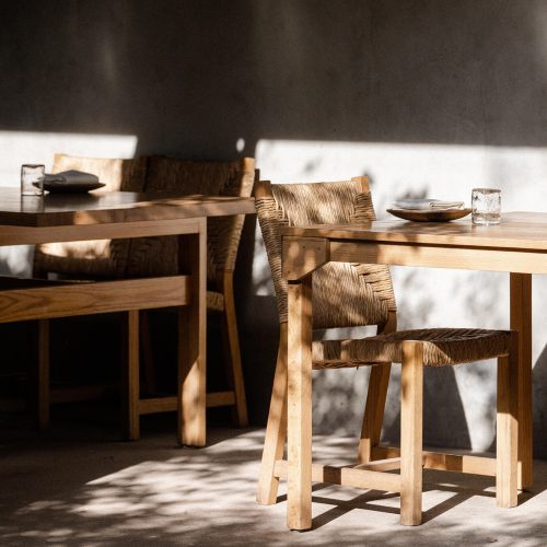criollo-img-home-4-500x500